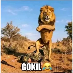 Stiker Gokil