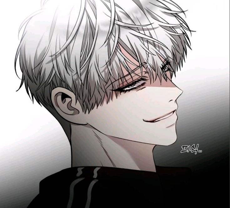 SENN